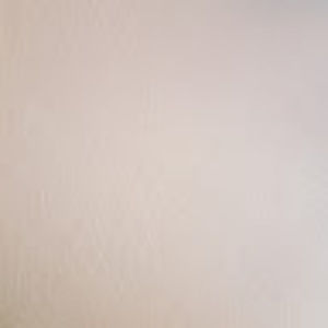 Meet your Posher, Monique